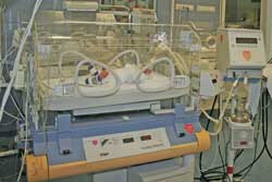  inkubator